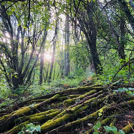 El Rincon De Castilla Villa *