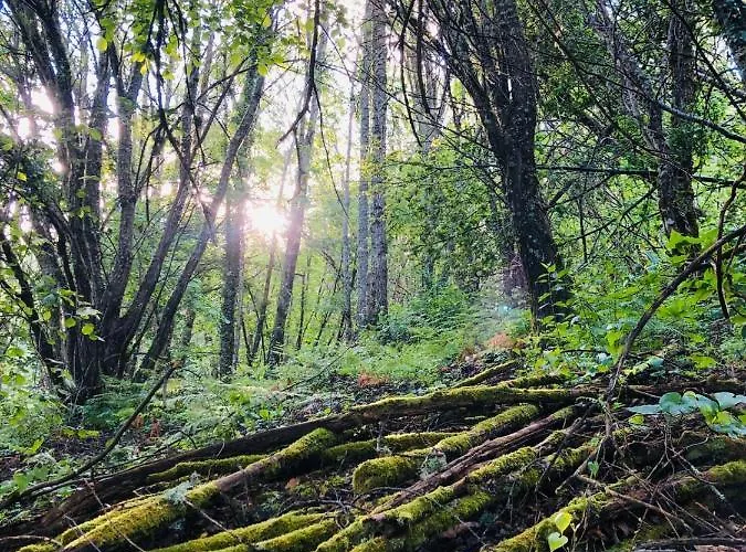 El Rincon De Castilla Villa *